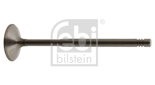 Intake Valve